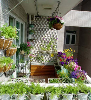 阳台改厨房风水