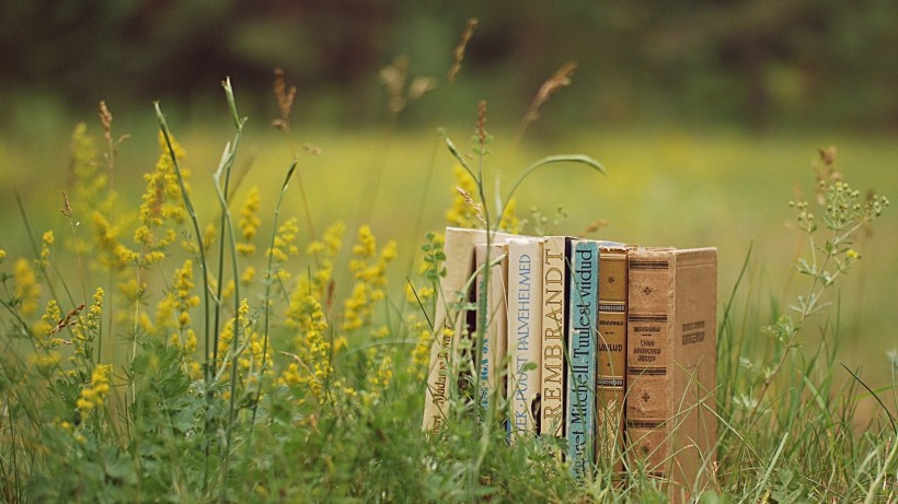 学风水看什么书