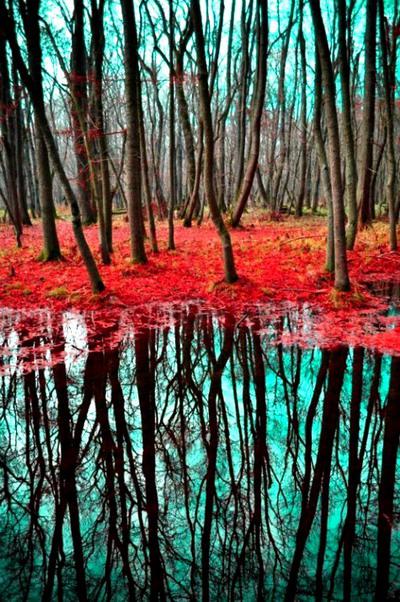 五行属木的行业有哪些